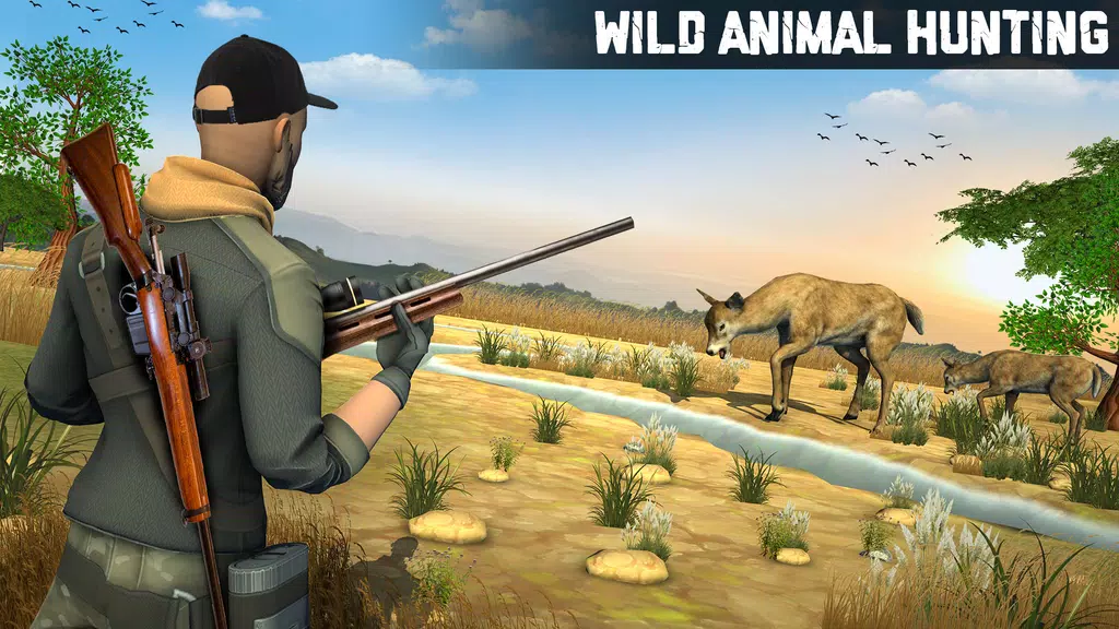 Wild Animal Hunting 3D Offline应用截图第0张