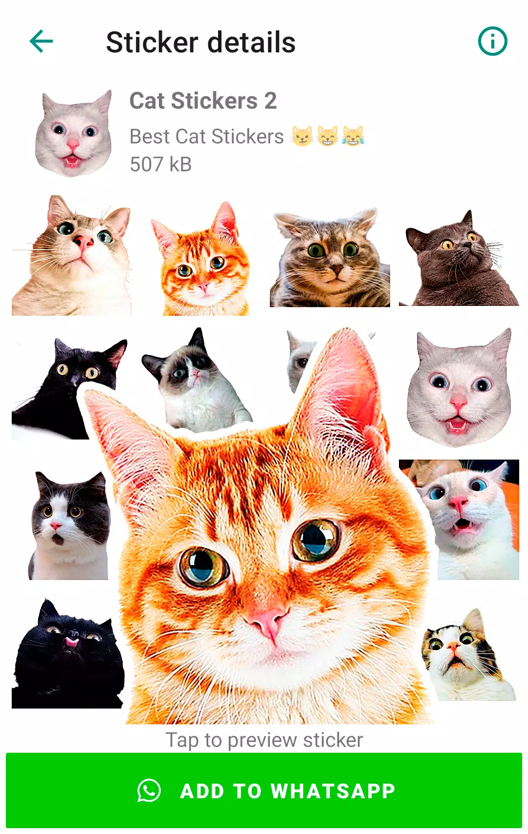 Cute Cat Stickers for WhatsApp Screenshot 1