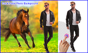 Horse Photo Frames Скриншот 2