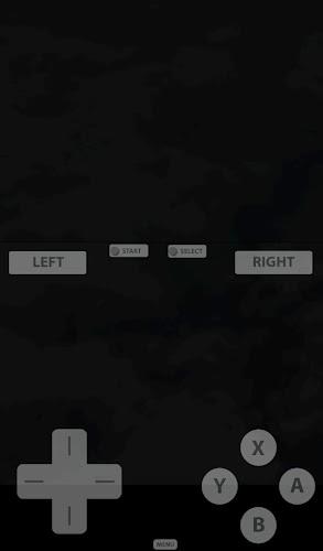 Fast DS Emulator - For Android Capture d'écran 1